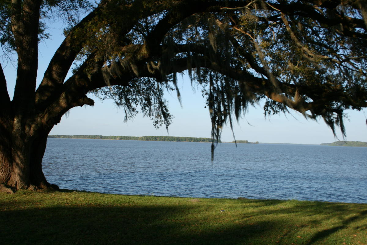 Sneads Park Lake Seminole Sneads Florida